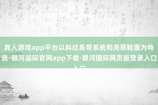 真人游戏app平台以斜纹系带系统和亮丽鞋面为特质-银河国际官网app下载·银河国际网页版登录入口