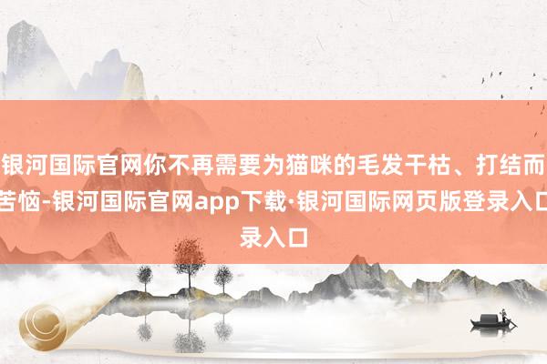 银河国际官网你不再需要为猫咪的毛发干枯、打结而苦恼-银河国际官网app下载·银河国际网页版登录入口